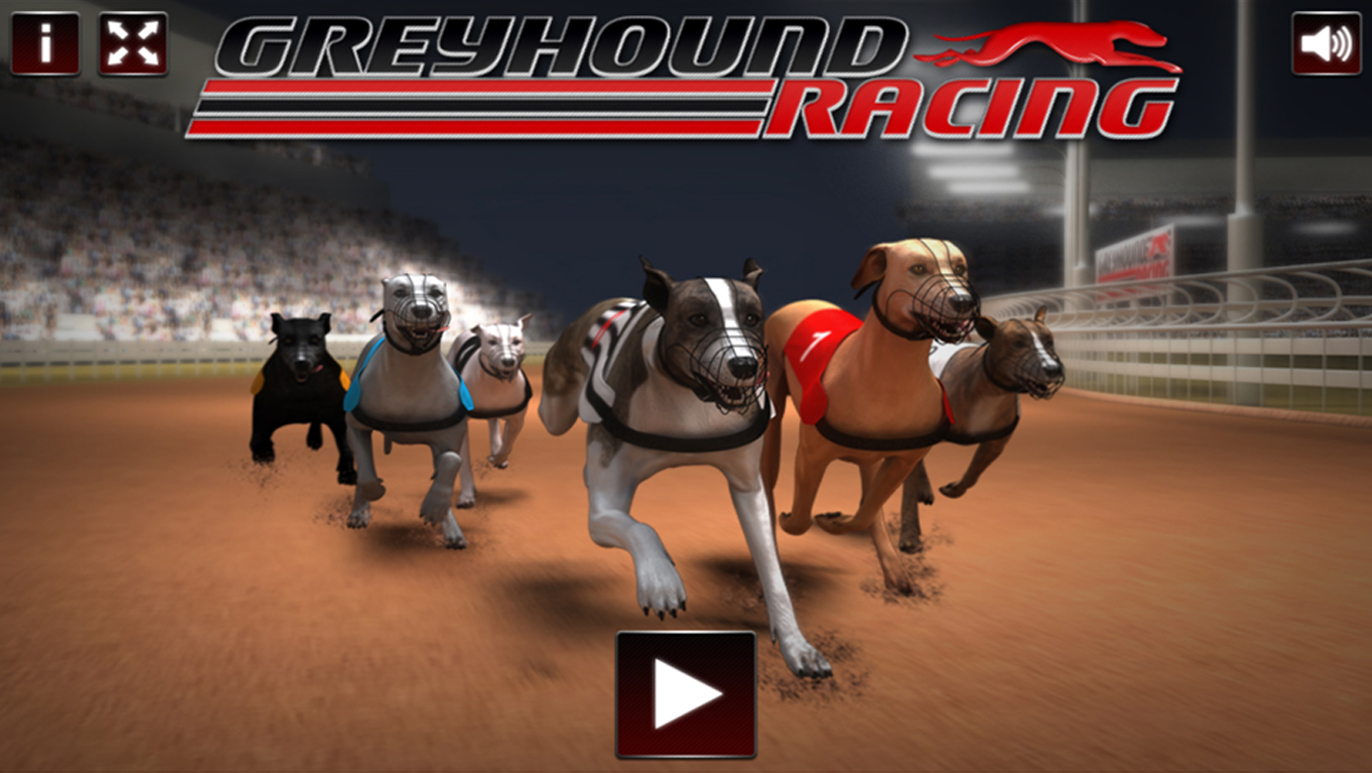 Corrida de Cachorros